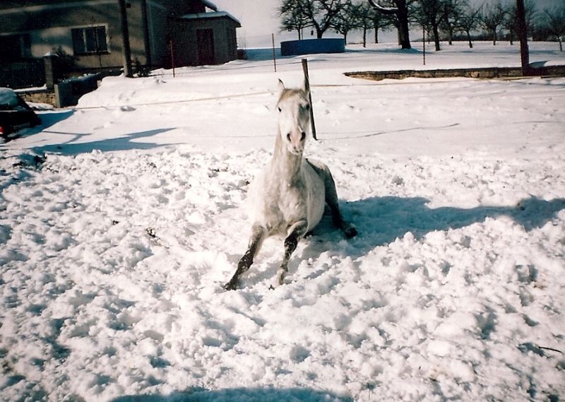 Asiba-zimní praní.jpg